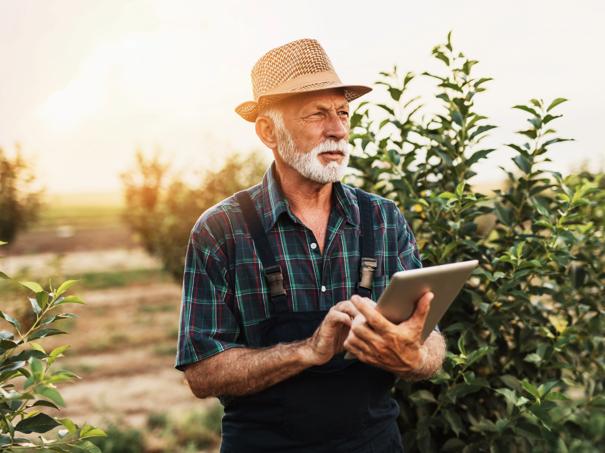Blogs stock images-63-Man with tablet looking at the horizon