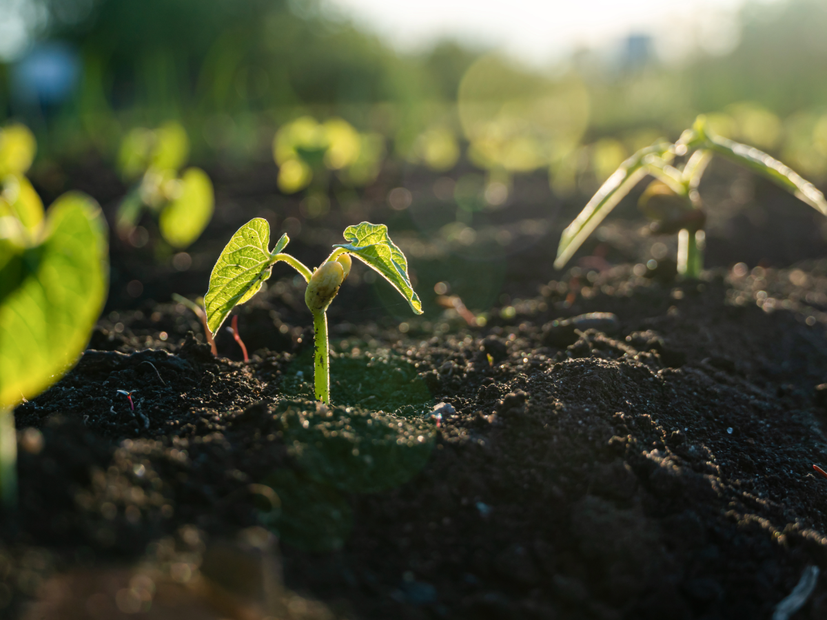 Blogs stock images-91