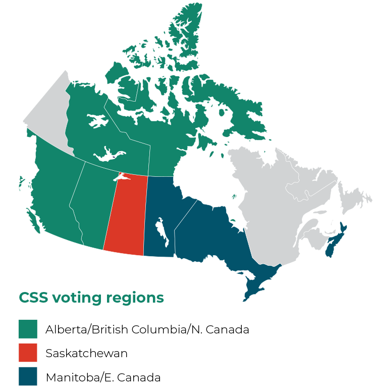 CSS-voting-regions-rebranded
